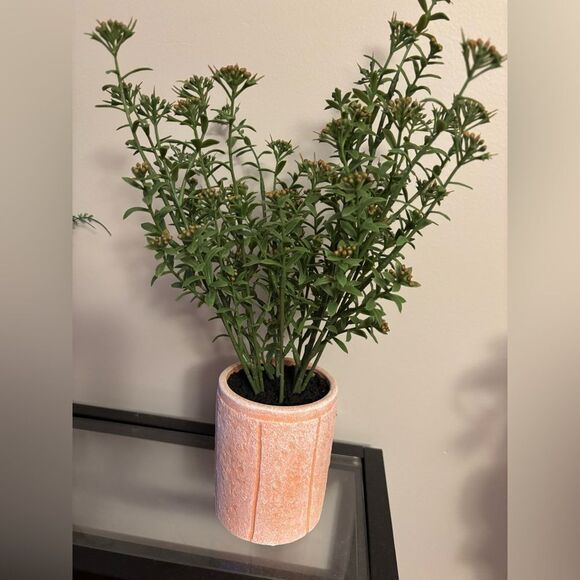 16" Faux Sedum Plant in ceramic/clay pot - Picture 5 of 8